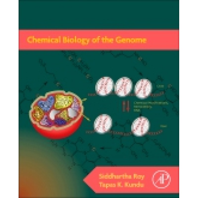 Chemical Biology of the Genome