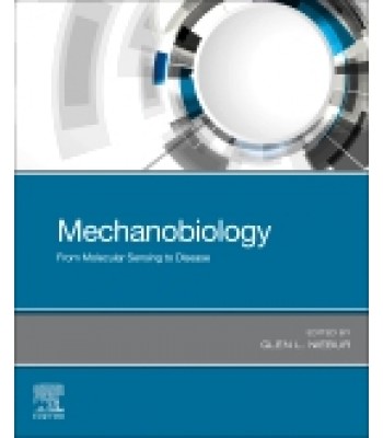 Mechanobiology, From Molecular Sensing to Disease