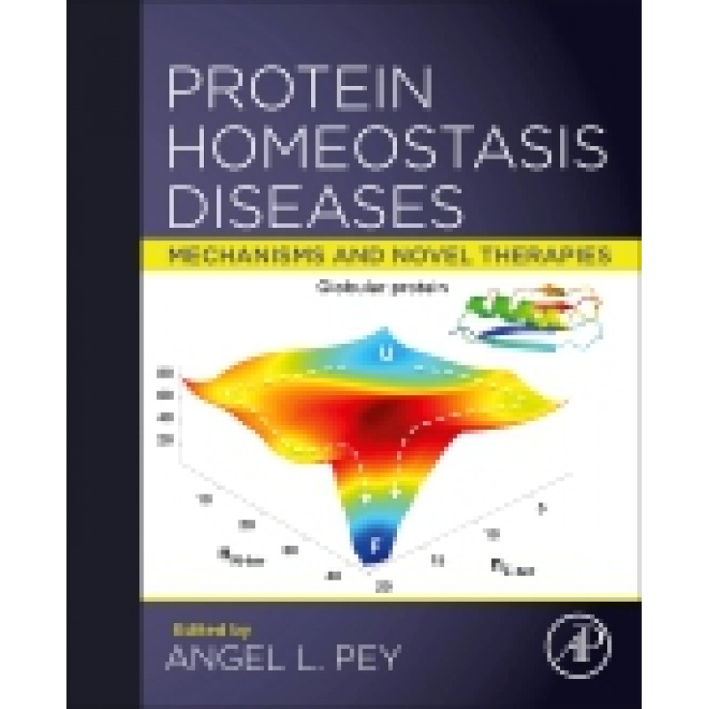 Protein Homeostasis Diseases, Mechanisms and Novel Therapies