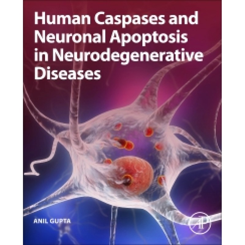 Human Caspases and Neuronal Apoptosis in Neurodegenerative Diseases