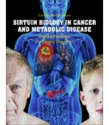 Sirtuin Biology in Cancer and Metabolic Disease, Cellular Pathways for Clinical Discovery
