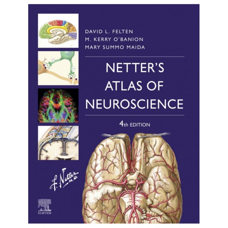 Netter's Atlas of Neuroscience, 4E