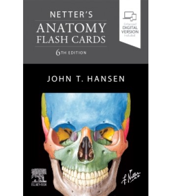 Netter's Anatomy Flash Cards, 6E