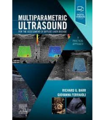 Multiparametric Ultrasound for the Assessment of Diffuse Liver Disease A Practical Approach