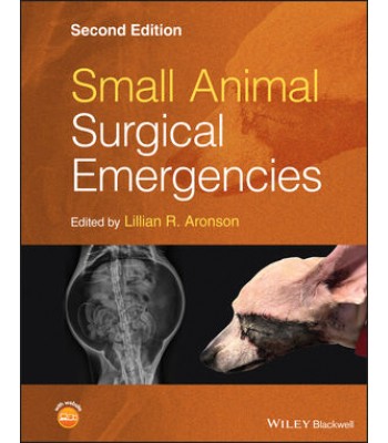 Small Animal Surgical Emergencies, 2E
