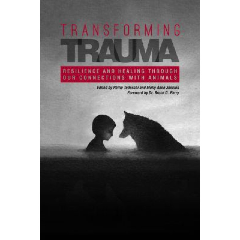 Transforming Trauma