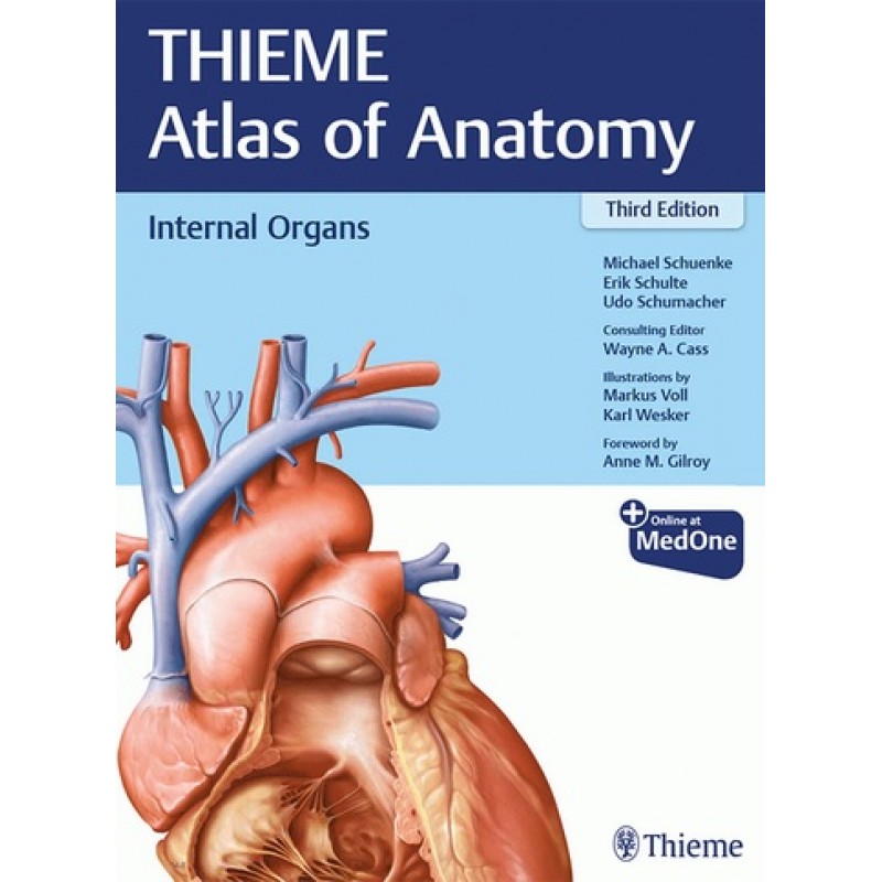 Internal Organs (THIEME Atlas of Anatomy) 3E