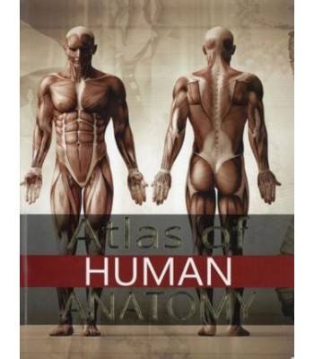 Atlas of Human Anatomy