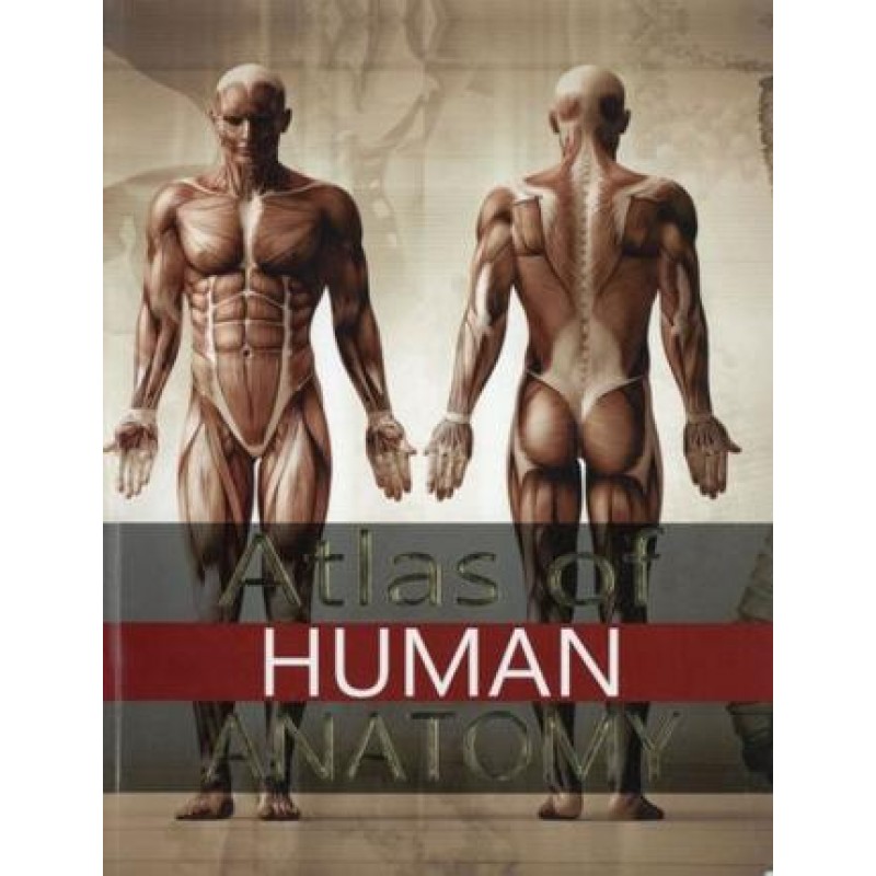 Atlas of Human Anatomy