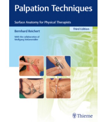 Palpation Techniques: Surface Anatomy for Physical Therapists 