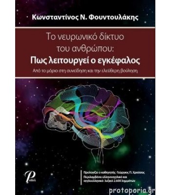 Το Νευρωνικό Δίκτυο του Ανθρώπου: Πως λειτουργεί ο Εγκέφαλος