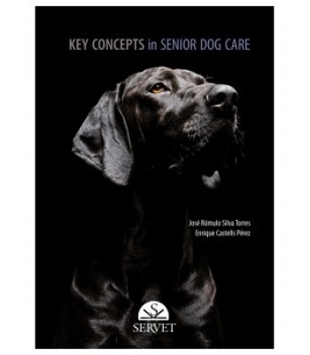 Key Concepts in Senior Dog Care