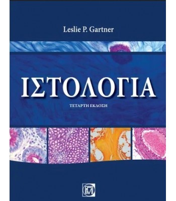 Ιστολογία Gartner, 4Ε