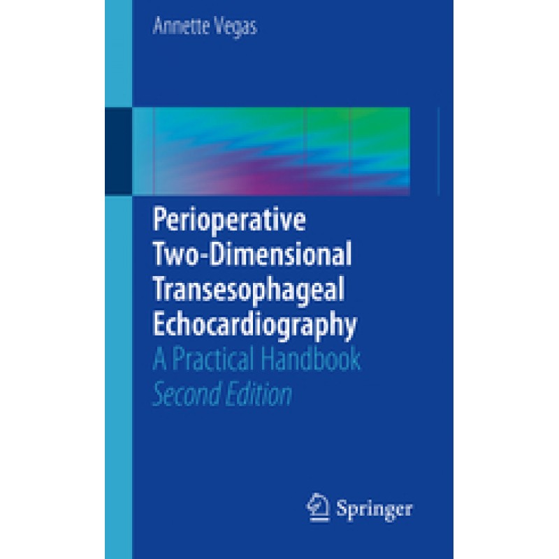 Perioperative Two-Dimensional Transesophageal Echocardiography
