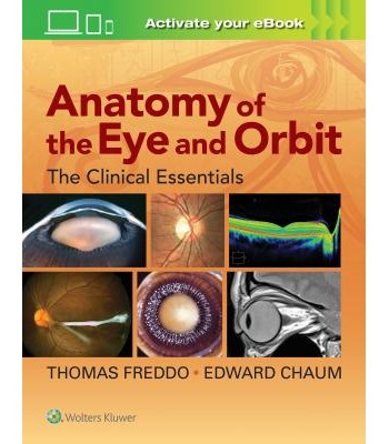 Anatomy of the Eye and Orbit THE CLINICAL ESSENTIALS