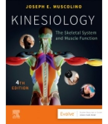 Kinesiology, 4th Edition
