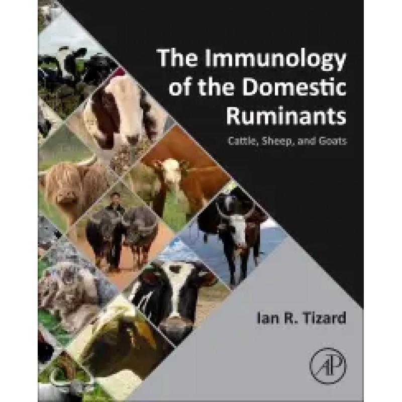 The Immunology of the Domestic Ruminants Cattle, Sheep, and Goats