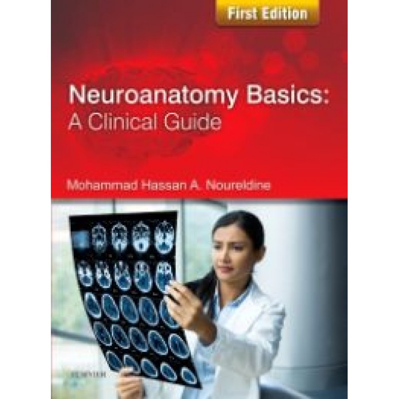 Neuroanatomy Basics: A Clinical Guide, 1st Edition