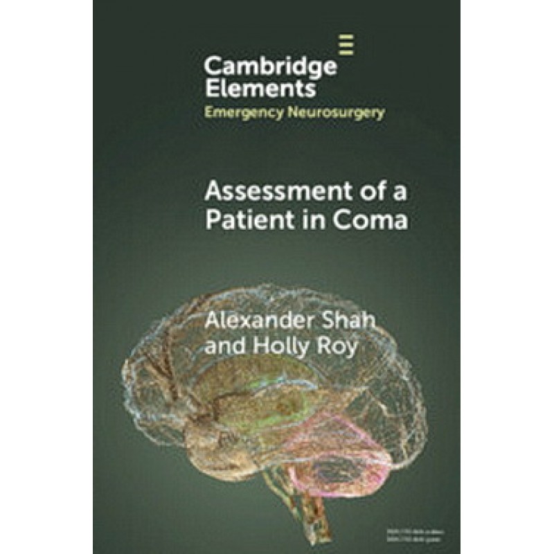 Assessment of a Patient in Coma