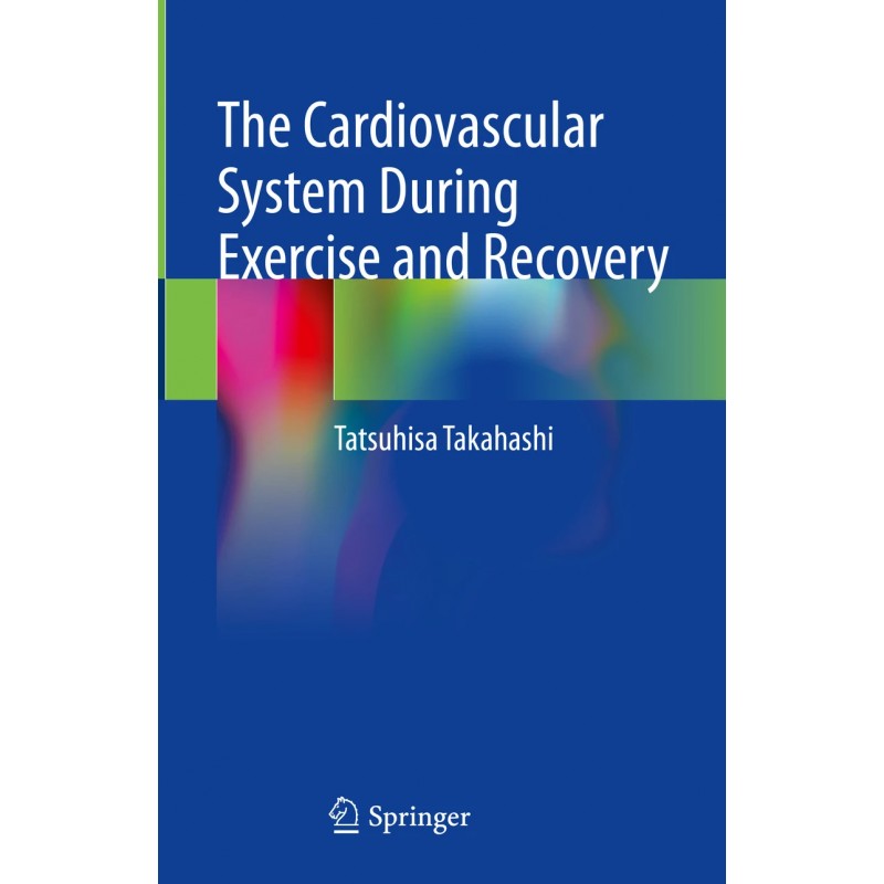 The Cardiovascular System During Exercise and Recovery