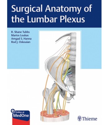 Surgical Anatomy of the Lumbar Plexus