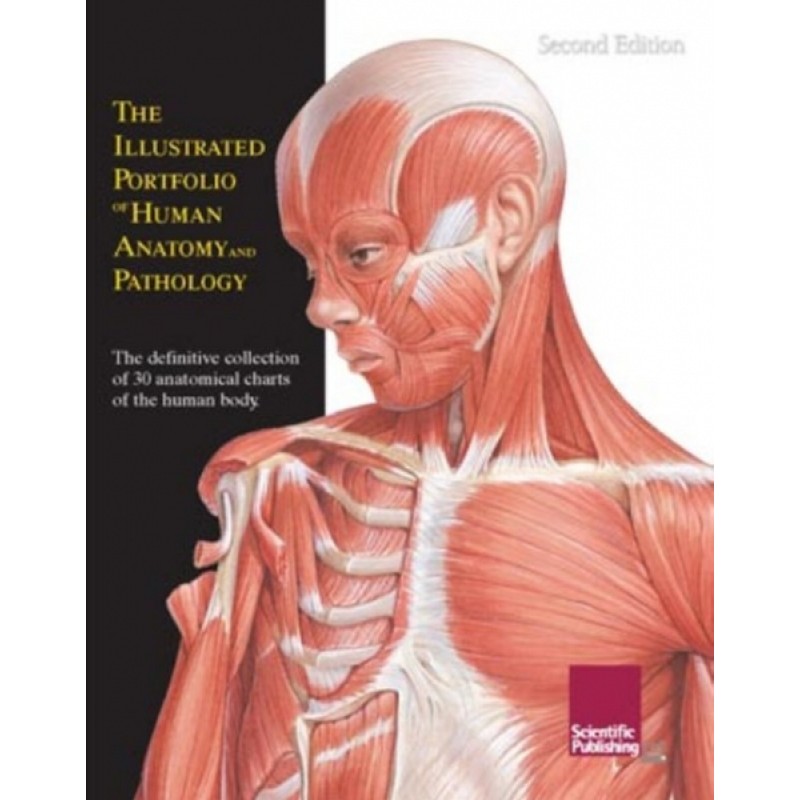 Illustrated Portfolio of Human Anatomy  and Pathology, 2nd Edition