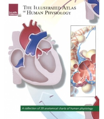 Illustrated Atlas of Human Physiology / A Collection of 20 Anatomical Charts of Human Physiology