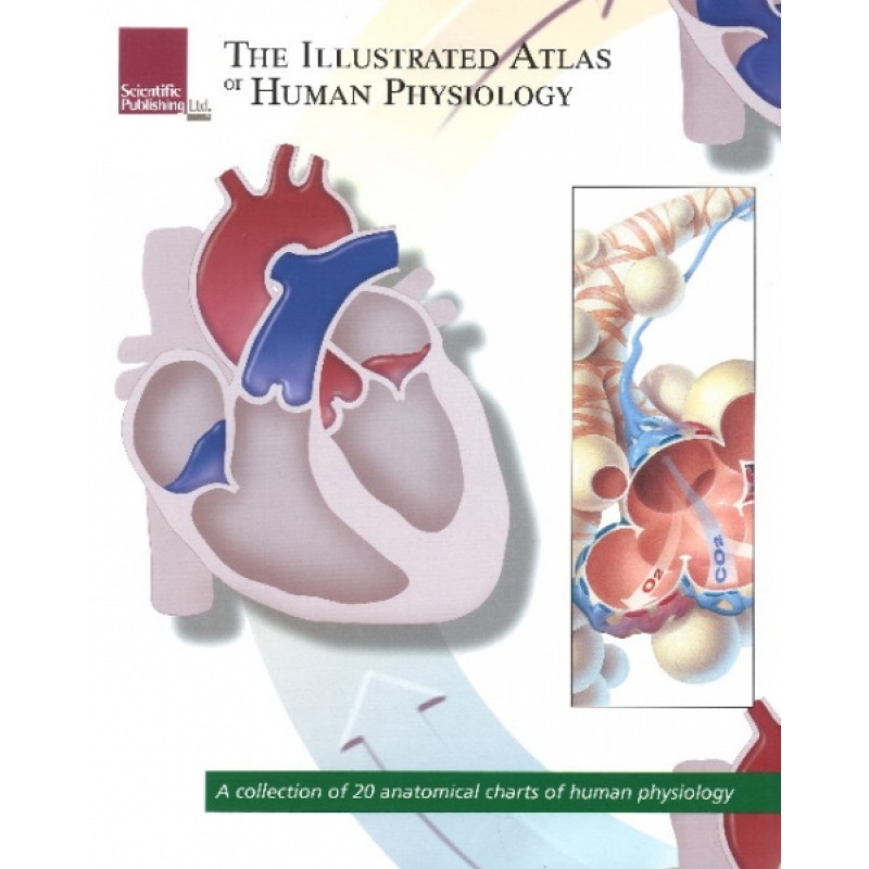 Illustrated Atlas of Human Physiology / A Collection of 20 Anatomical Charts of Human Physiology