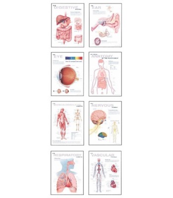 Human Anatomy Chart Pack