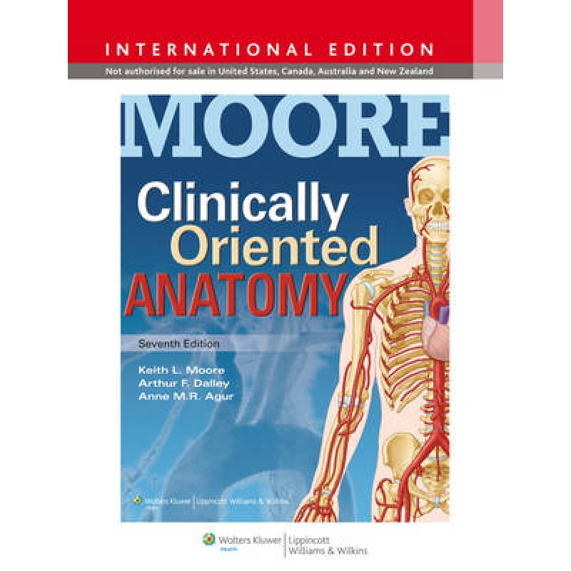 Clinically Oriented Anatomy, 7th edition