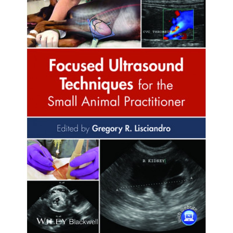 Focused Ultrasound Techniques for the Small Animal Practitioner