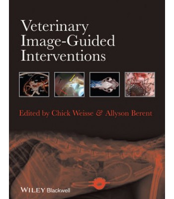 Veterinary Image-Guided Interventions