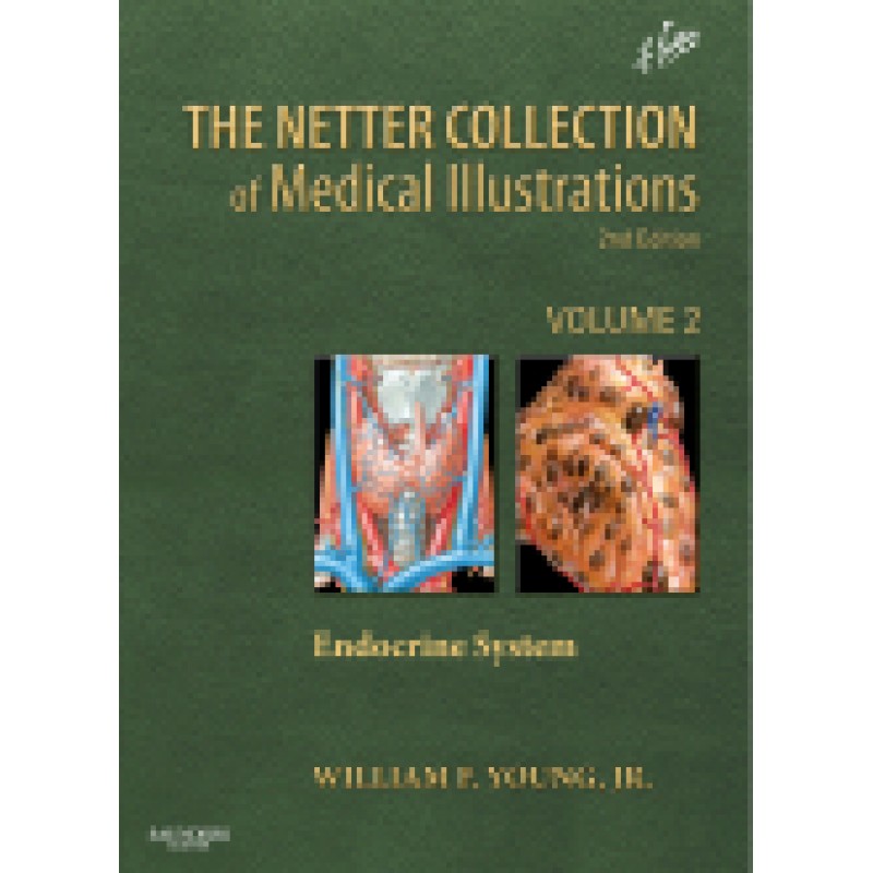 The Netter Collection of Medical Illustrations: The Endocrine System, 2nd Edition Volume 2